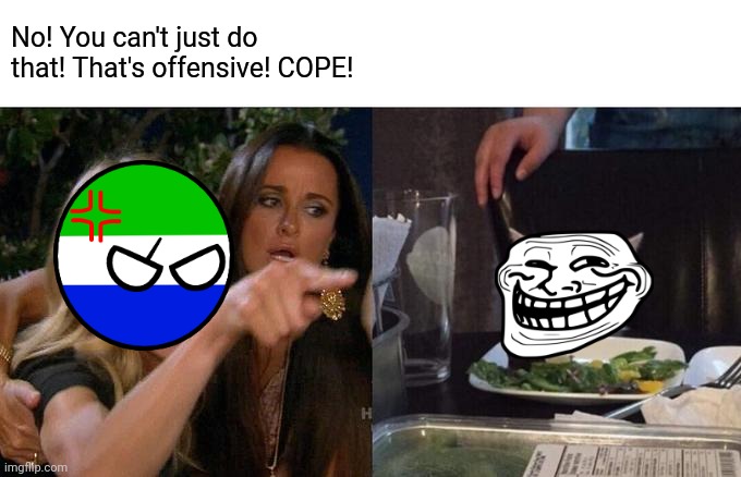 Based On True Events | No! You can't just do that! That's offensive! COPE! | image tagged in memes,woman yelling at cat | made w/ Imgflip meme maker