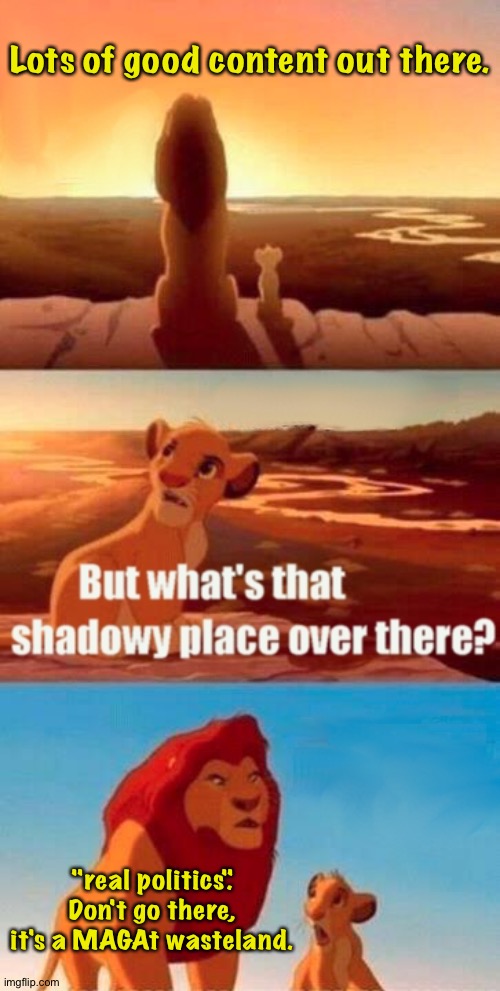 Simba Shadowy Place Meme | Lots of good content out there. "real politics". Don't go there, it's a MAGAt wasteland. | image tagged in memes,simba shadowy place | made w/ Imgflip meme maker
