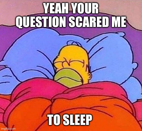 Homer Simpson sleeping peacefully | YEAH YOUR QUESTION SCARED ME TO SLEEP | image tagged in homer simpson sleeping peacefully | made w/ Imgflip meme maker