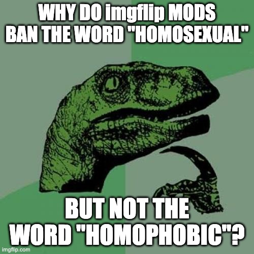 Philosoraptor | WHY DO imgflip MODS BAN THE WORD "HOMOSEXUAL"; BUT NOT THE WORD "HOMOPHOBIC"? | image tagged in memes,philosoraptor | made w/ Imgflip meme maker