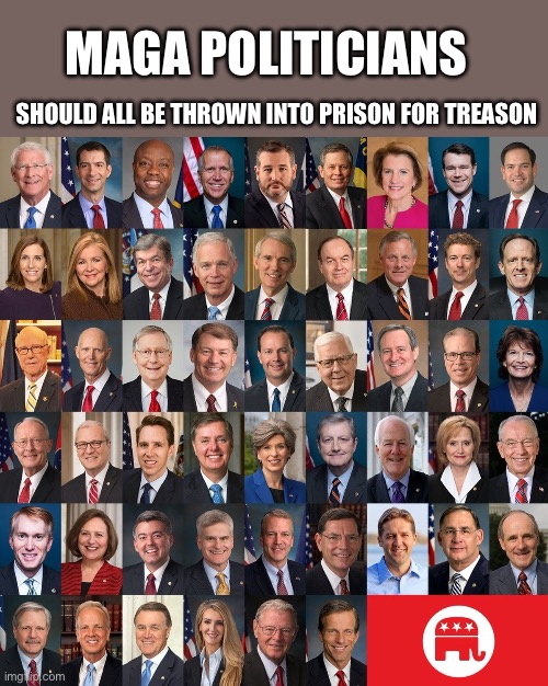 Republican Traitors | MAGA POLITICIANS; SHOULD ALL BE THROWN INTO PRISON FOR TREASON | image tagged in republican traitors | made w/ Imgflip meme maker