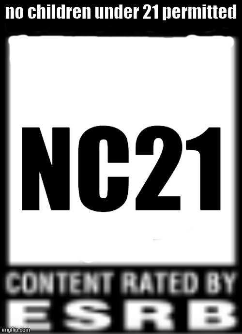 What would games with this rating have? | no children under 21 permitted; NC21 | image tagged in esrb rating | made w/ Imgflip meme maker
