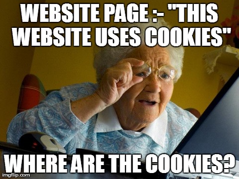 Grandma Finds The Internet | WEBSITE PAGE :- "THIS WEBSITE USES COOKIES" WHERE ARE THE COOKIES? | image tagged in memes,grandma finds the internet | made w/ Imgflip meme maker