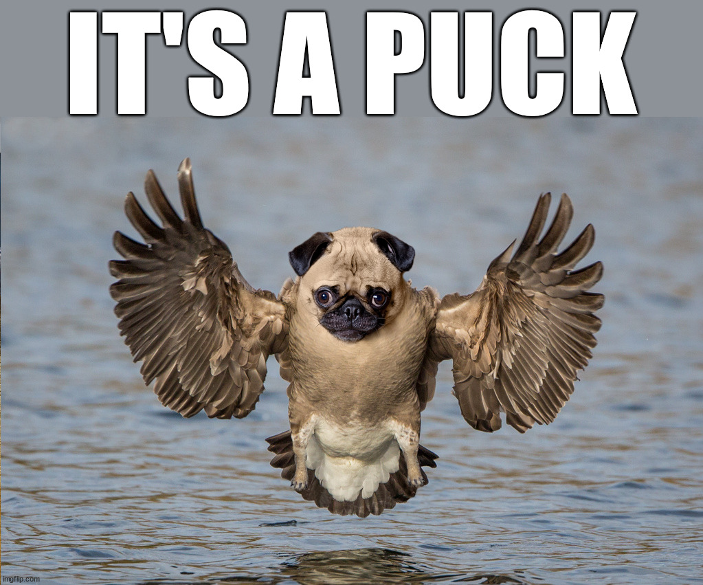 IT'S A PUCK | image tagged in photoshop | made w/ Imgflip meme maker