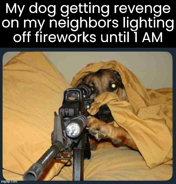 Dogs and people with PTSD do not appreciate all those explosions. | My dog getting revenge on my neighbors lighting off fireworks until 1 AM | image tagged in fireworks,good neighbor,4th of july | made w/ Imgflip meme maker