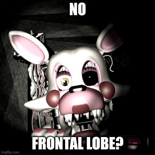 Stop the Mangle!! | NO; FRONTAL LOBE? | image tagged in stop the mangle,five nights at freddys,fnaf,fnaf 2,mangle | made w/ Imgflip meme maker