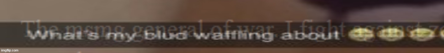 made w/ Imgflip meme maker