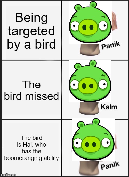 Panik Kalm Panik | Being targeted by a bird; The bird missed; The bird is Hal, who has the boomeranging ability | image tagged in memes,panik kalm panik,pig,angry birds,hal | made w/ Imgflip meme maker