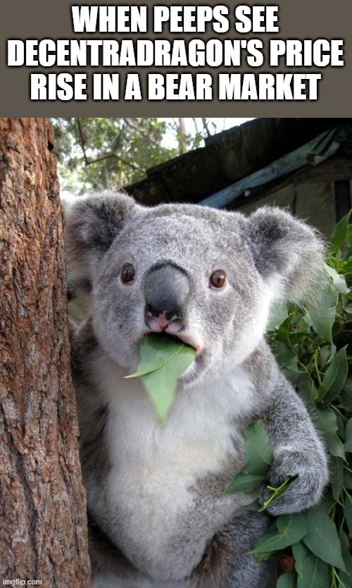 Surprised Koala Meme | WHEN PEEPS SEE DECENTRADRAGON'S PRICE RISE IN A BEAR MARKET | image tagged in memes,surprised koala | made w/ Imgflip meme maker