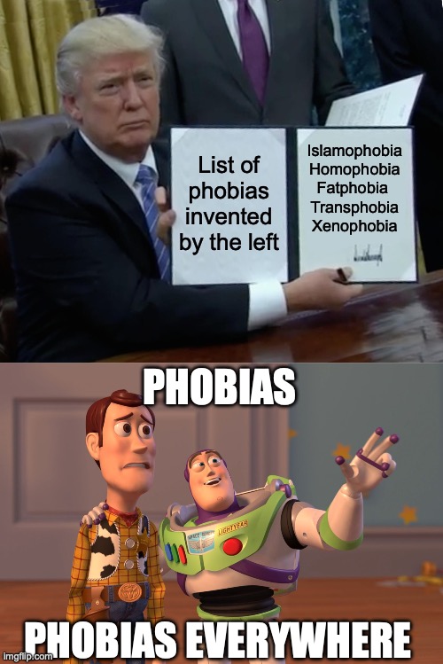 List of phobias invented by the left; Islamophobia
Homophobia
Fatphobia 
Transphobia
Xenophobia; PHOBIAS; PHOBIAS EVERYWHERE | image tagged in memes,trump bill signing,x x everywhere | made w/ Imgflip meme maker