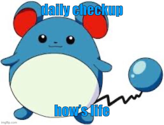 Marill 4 | daily checkup; how’s life | image tagged in marill 4 | made w/ Imgflip meme maker