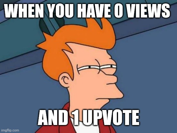 Sus | WHEN YOU HAVE 0 VIEWS; AND 1 UPVOTE | image tagged in memes,futurama fry | made w/ Imgflip meme maker