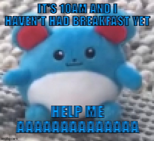 Marill 6 | IT’S 10AM AND I HAVEN’T HAD BREAKFAST YET; HELP ME
AAAAAAAAAAAAAA | image tagged in marill 6 | made w/ Imgflip meme maker