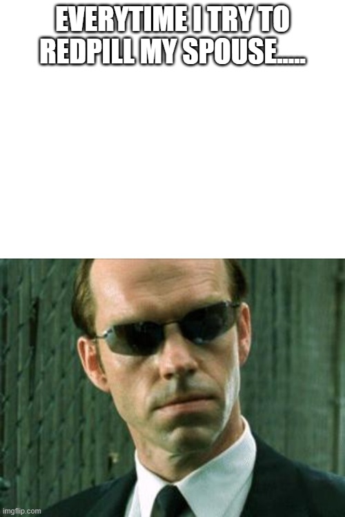 EVERYTIME I TRY TO REDPILL MY SPOUSE..... | image tagged in agent smith matrix | made w/ Imgflip meme maker