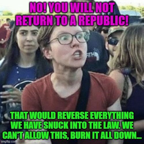 Gender outrage | NO! YOU WILL NOT RETURN TO A REPUBLIC! THAT WOULD REVERSE EVERYTHING WE HAVE SNUCK INTO THE LAW. WE CAN'T ALLOW THIS, BURN IT ALL DOWN... | image tagged in gender outrage | made w/ Imgflip meme maker