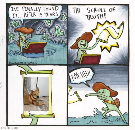 Dog | image tagged in memes,the scroll of truth,dog | made w/ Imgflip meme maker
