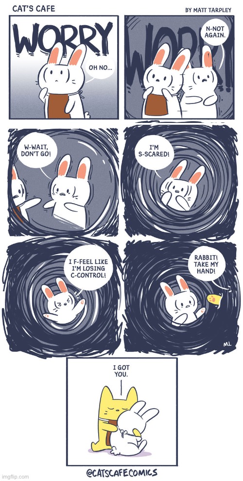 WORRY | image tagged in rabbit,worry,cat | made w/ Imgflip meme maker