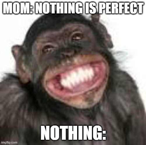 chimpanzee | MOM: NOTHING IS PERFECT; NOTHING: | image tagged in mom,chimpanzee,creepy smile | made w/ Imgflip meme maker