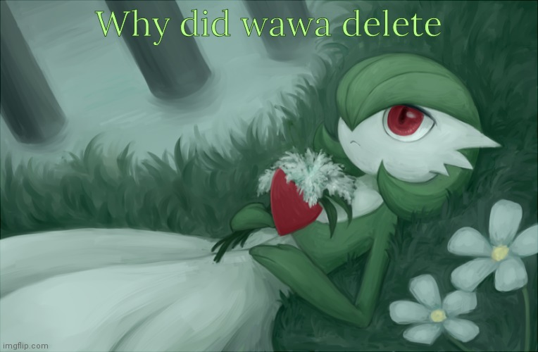 Gardevoir lying in the grass | Why did wawa delete | image tagged in gardevoir lying in the grass | made w/ Imgflip meme maker