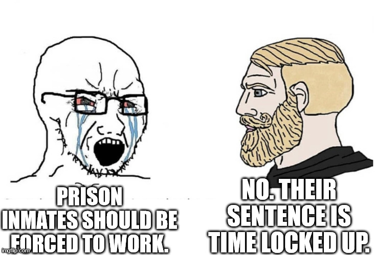 STATISTS BE LIKE | NO. THEIR SENTENCE IS TIME LOCKED UP. PRISON INMATES SHOULD BE FORCED TO WORK. | image tagged in soyboy vs yes chad | made w/ Imgflip meme maker