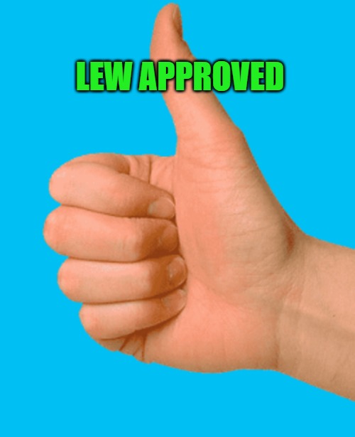 thumbs up | LEW APPROVED | image tagged in thumbs up | made w/ Imgflip meme maker