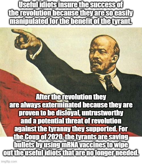 After elimination of those who switched allegiance to aid the revolution, the regime will deal with their enemies... | Useful idiots insure the success of the revolution because they are so easily manipulated for the benefit of the tyrant. After the revolution they are always exterminated because they are proven to be disloyal, untrustworthy and a potential threat of revolution against the tyranny they supported. For the Coup of 2020, the tyrants are saving bullets by using mRNA vaccines to wipe out the useful idiots that are no longer needed. | image tagged in you're a communist | made w/ Imgflip meme maker