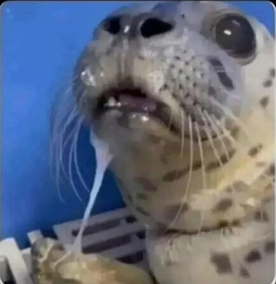 High Quality Your Ma Blank Meme Template