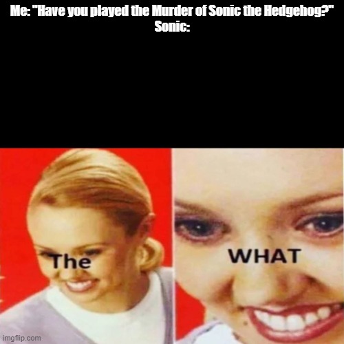 The What | Me: "Have you played the Murder of Sonic the Hedgehog?"
Sonic: | image tagged in the what | made w/ Imgflip meme maker