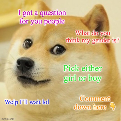 Ummmm | I got a question for you people; What do you think my gender is? Pick either girl or boy; Comment down here 👇; Welp I’ll wait lol | image tagged in memes,doge | made w/ Imgflip meme maker