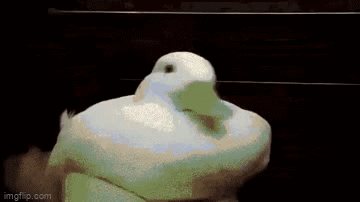 DuCk - Imgflip