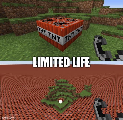 Minecraft TNT | LIMITED LIFE | image tagged in minecraft tnt | made w/ Imgflip meme maker