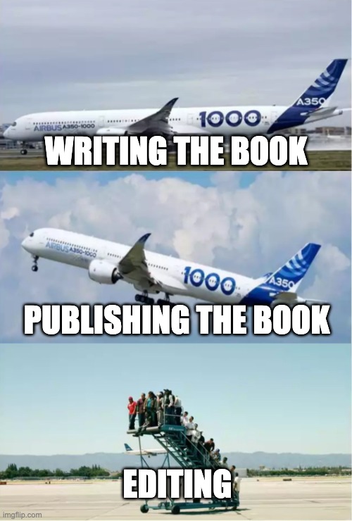 Leaving editing behind | WRITING THE BOOK; PUBLISHING THE BOOK; EDITING | image tagged in airplane took off without people | made w/ Imgflip meme maker