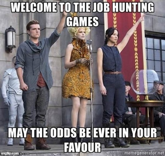 Job hunting nowadays | image tagged in job,work,job interview,interview,hunger games | made w/ Imgflip meme maker