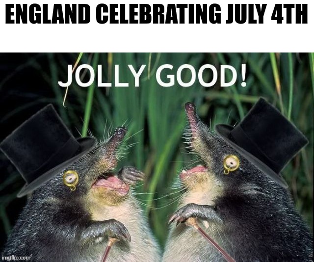 Jolly good | ENGLAND CELEBRATING JULY 4TH | image tagged in jolly good | made w/ Imgflip meme maker