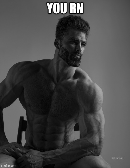 Giga Chad | YOU RN | image tagged in giga chad | made w/ Imgflip meme maker