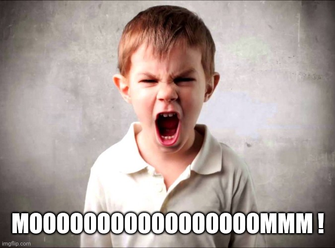 Kid yelling | MOOOOOOOOOOOOOOOOOMMM ! | image tagged in kid yelling | made w/ Imgflip meme maker