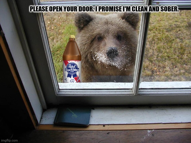 Cocaine bear visits | PLEASE OPEN YOUR DOOR. I PROMISE I'M CLEAN AND SOBER. | image tagged in cocaine,bear | made w/ Imgflip meme maker