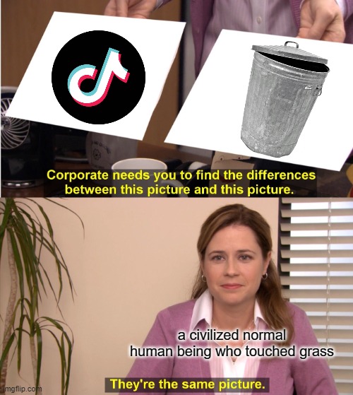 trash | a civilized normal human being who touched grass | image tagged in memes,they're the same picture,tiktok sucks | made w/ Imgflip meme maker