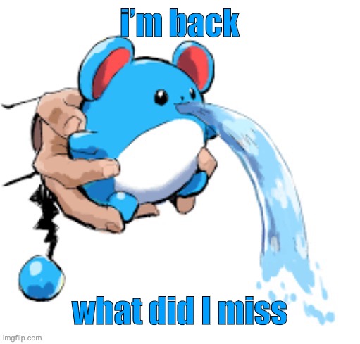 Marill 5 | i’m back; what did I miss | image tagged in marill 5 | made w/ Imgflip meme maker