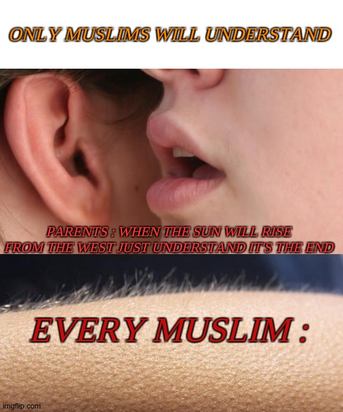 Terror. | ONLY MUSLIMS WILL UNDERSTAND; PARENTS : WHEN THE SUN WILL RISE FROM THE WEST JUST UNDERSTAND IT'S THE END; EVERY MUSLIM : | image tagged in whisper and goosebumps | made w/ Imgflip meme maker