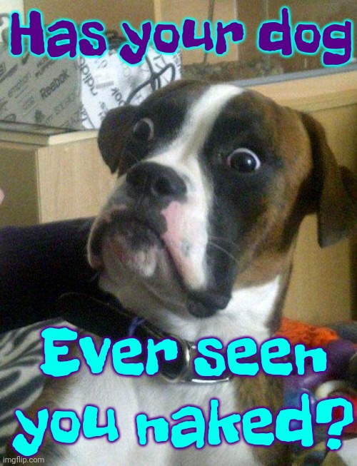 Probably | Has your dog; Ever seen you naked? | image tagged in blankie the shocked dog,naked,funny dogs,does your dog bite,memes,i dont know | made w/ Imgflip meme maker
