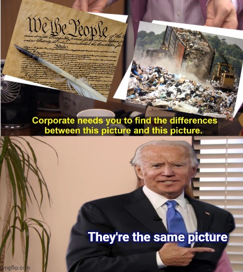 We don't need no stinking Constitution | They're the same picture | image tagged in memes,they're the same picture,democrats,flinging poop,we the people,sorry i annoyed you | made w/ Imgflip meme maker