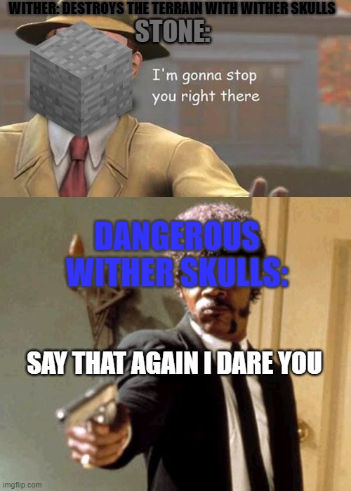 Wither Skulls make Weak Explosions, But Dangerous(AKA Blue) Skulls Ignore Most Block's Explosion Resistance | WITHER: DESTROYS THE TERRAIN WITH WITHER SKULLS; STONE:; DANGEROUS WITHER SKULLS:; SAY THAT AGAIN I DARE YOU | image tagged in i'm gonna stop you right there,memes,say that again i dare you | made w/ Imgflip meme maker