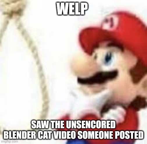 . | WELP; SAW THE UNCENSORED BLENDER CAT VIDEO SOMEONE POSTED | made w/ Imgflip meme maker
