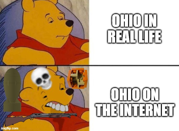 Ohio: :( | OHIO IN REAL LIFE; OHIO ON THE INTERNET | image tagged in winnie the pooh ok to worst | made w/ Imgflip meme maker