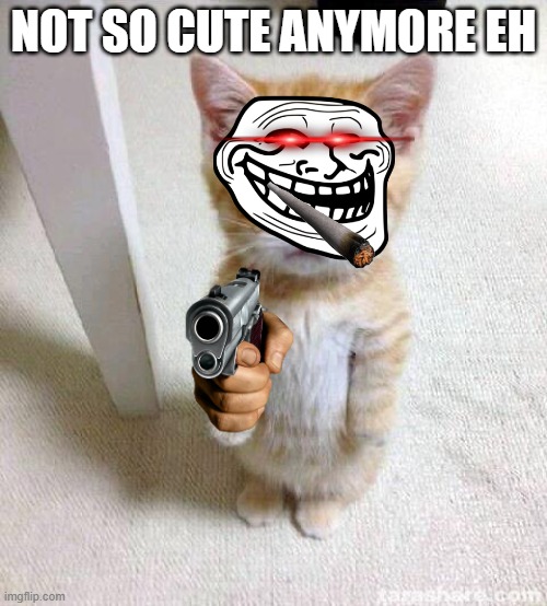 Cute Cat | NOT SO CUTE ANYMORE EH | image tagged in memes,cute cat | made w/ Imgflip meme maker