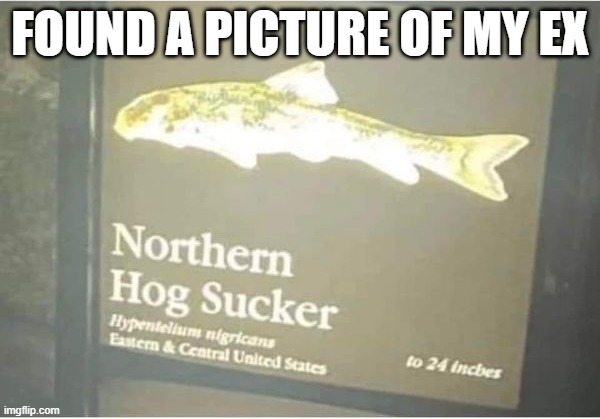 My Ex | FOUND A PICTURE OF MY EX | image tagged in sex jokes | made w/ Imgflip meme maker