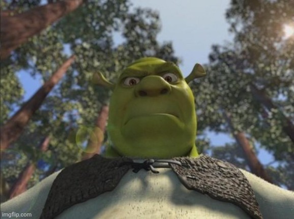 Swampy angry shrek | image tagged in swampy angry shrek | made w/ Imgflip meme maker