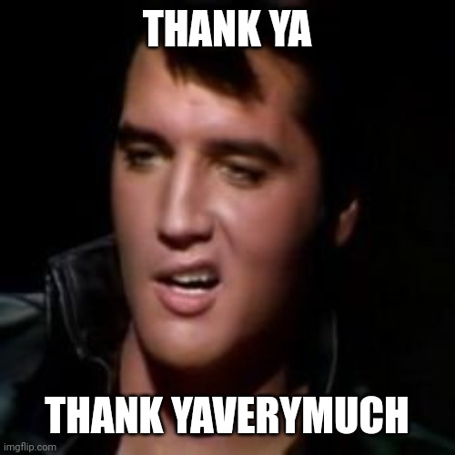 THANK YA THANK YAVERYMUCH | image tagged in elvis thank you | made w/ Imgflip meme maker