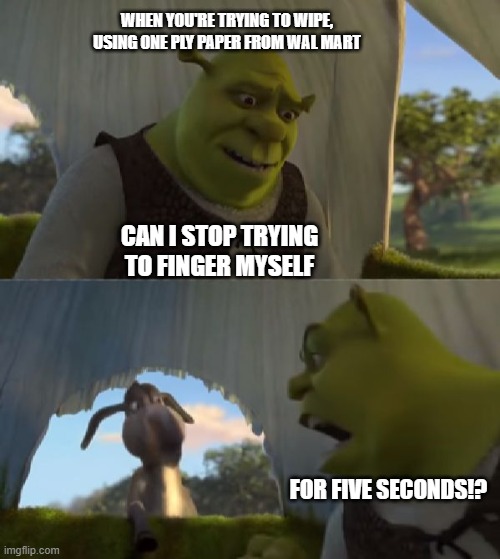 Could you not ___ for 5 MINUTES | WHEN YOU'RE TRYING TO WIPE, USING ONE PLY PAPER FROM WAL MART; CAN I STOP TRYING TO FINGER MYSELF; FOR FIVE SECONDS!? | image tagged in could you not ___ for 5 minutes | made w/ Imgflip meme maker